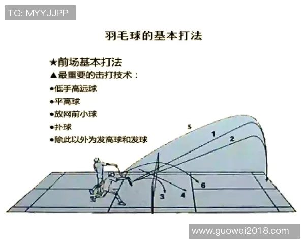 深圳羽毛球队与北京羽毛球队赛后战术分析与总结 深圳羽毛球队与北京羽毛球队赛后战术分析与总结